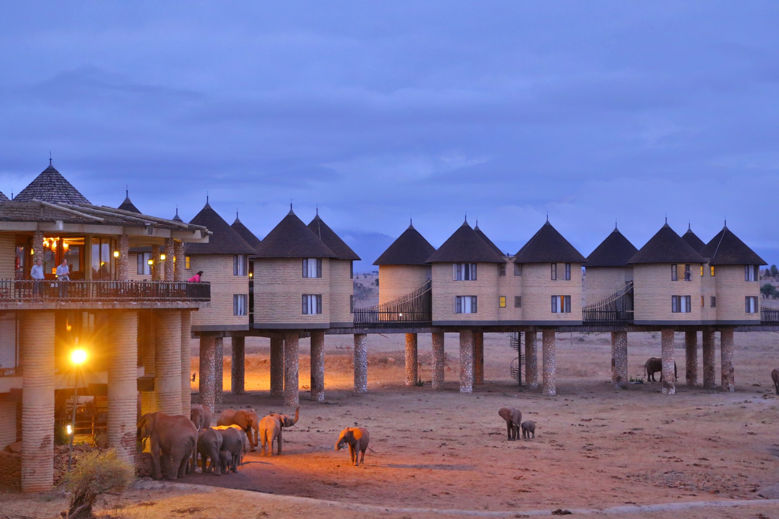 Sarova-Salt-Lick-Game-Lodge-Exterior-view-scaled